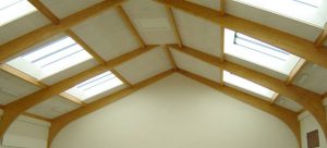 Ceiling Construction by RJM projects